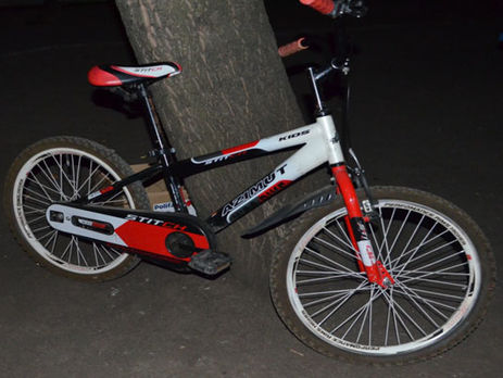 В Донецкой области восьмилетняя девочка смертельно травмировала велосипедом шестилетнего мальчика