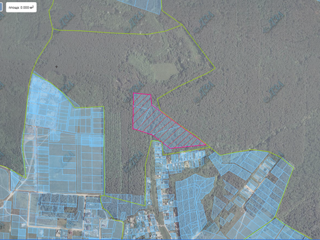 Прокуратура: В Киевской области чиновники незаконно передали в частную собственность 5,5 га государственного леса