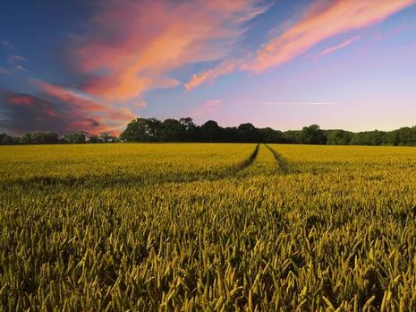 Послы G7 поддержали намерение Украины открыть рынок земли