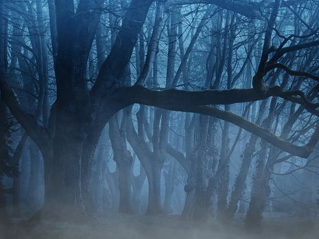 ﻿ДСНС попередила про погіршення погодних умов в Україні