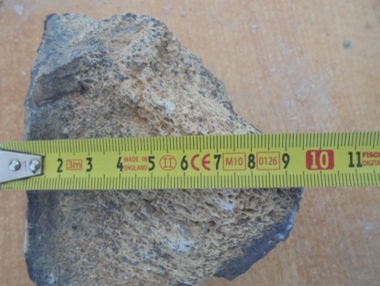 Россиянин пытался вывезти из Монголии кости динозавра