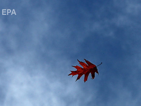 ﻿ДСНС попередила про сильний вітер в Україні