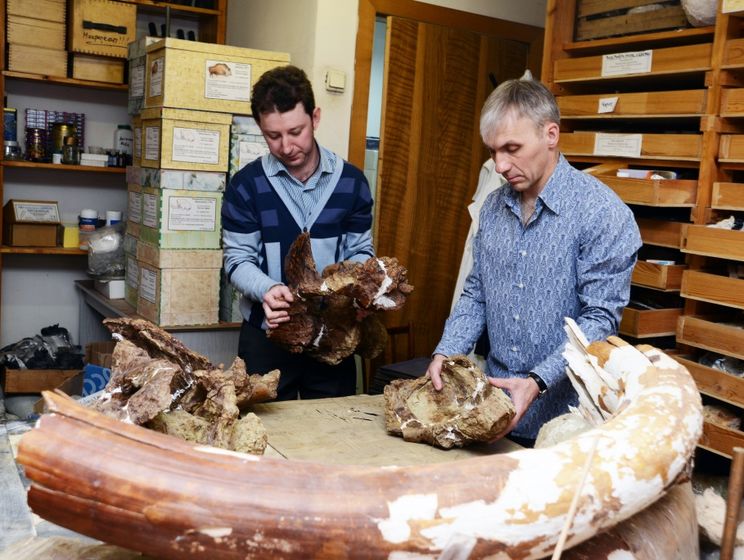 Российские ученые заявили об обнаружении нового вида динозавров