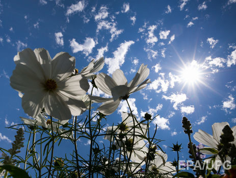 Укргидрометцентр: В Украине потеплеет 14 августа 