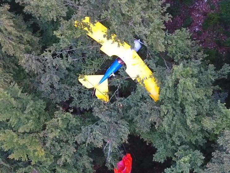 Пилот упавшего в Германии самолета 13 часов ждал спасателей на дереве
