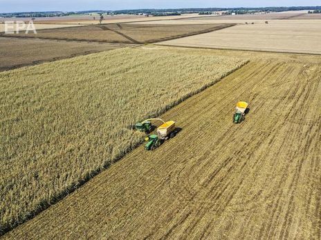 Введение рынка земли не поддерживает 59% украинцев – опрос