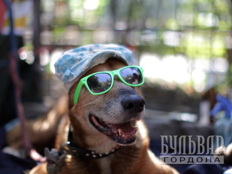 Укргидрометцентр: В Украине 21 августа ожидается жаркая погода без осадков