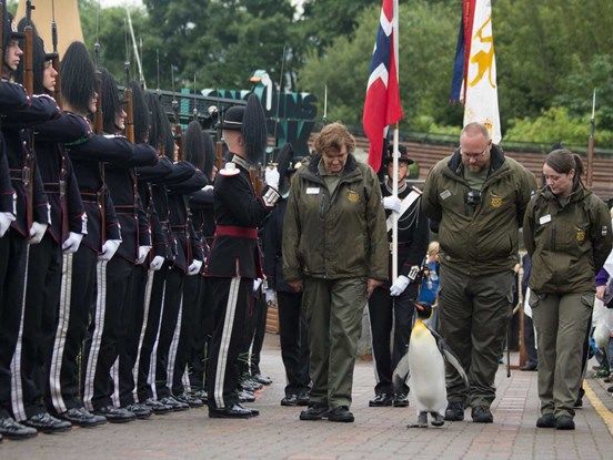 Пингвин из шотландского зоопарка стал генералом Королевской гвардии Норвегии