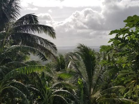 ﻿Жителів східних Філіппін евакуюють через наближення тайфуну 