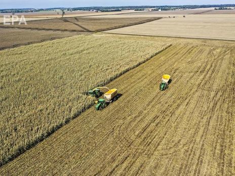 К законопроекту о рынке земли подали более 3 тыс. поправок – нардеп Качура