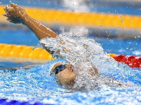 НОК: Украинская пловчиха Зевина установила рекорд Кубка мира