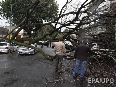 На Чечню обрушился ураган, погибла девушка