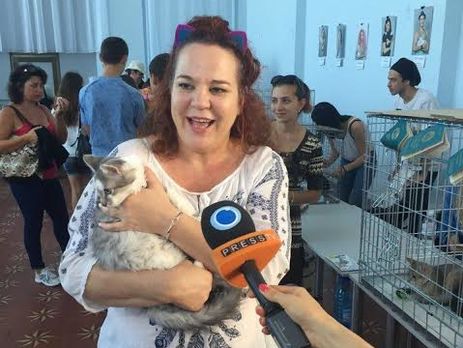 Второй фестиваль котиков: 43 животных обрели новых хозяев. Фоторепортаж