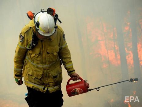 Австралийский Новый Южный Уэльс объявил чрезвычайное положение из-за лесных пожаров