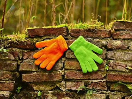 В Киеве 17 декабря зафиксировали температурный рекорд