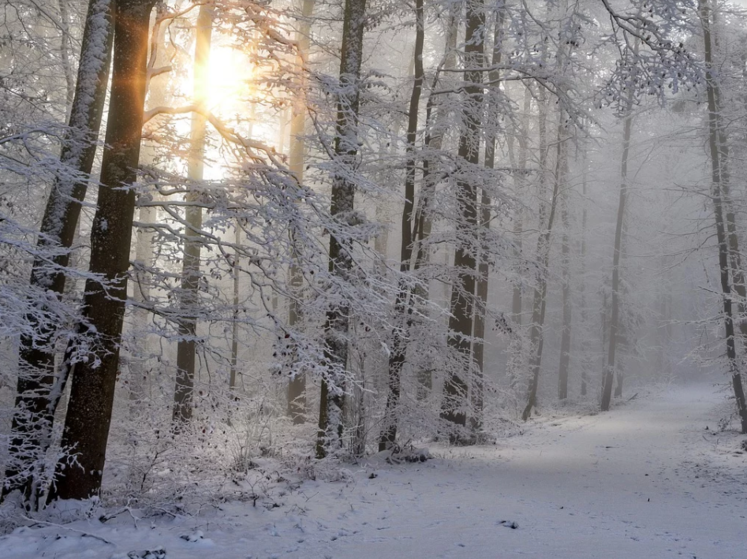 ﻿Синоптикиня розповіла, коли в Україні похолодає і випаде сніг