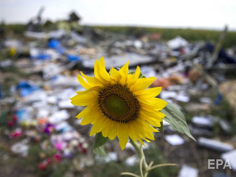 Госкино Украины профинансирует документальный фильм о катастрофе MH17