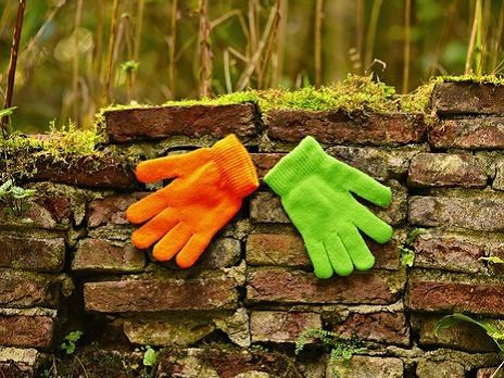 2019 год в Украине стал самым теплым за всю историю наблюдений