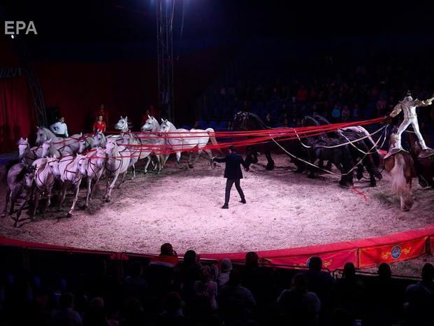 В 2020 году из государственных цирков исчезнут представления с животными &ndash; Бородянский 