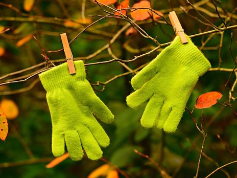 Из-за аномально теплого декабря метеорологическая зима в Киеве еще не наступила