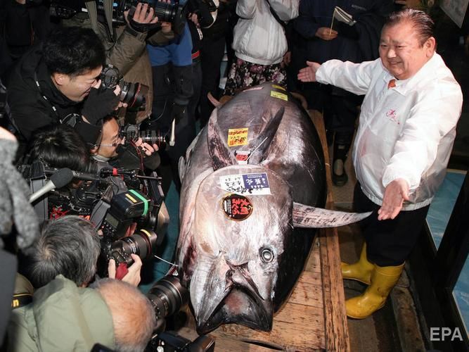 ﻿У Японії на аукціоні продали тунця за $1,8 млн