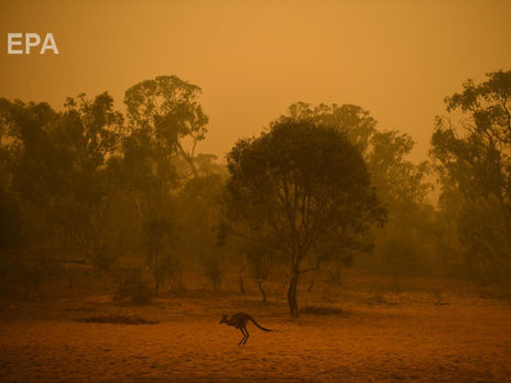 Украинское правительство готово отправить в Австралию 200 спасателей для тушения пожаров