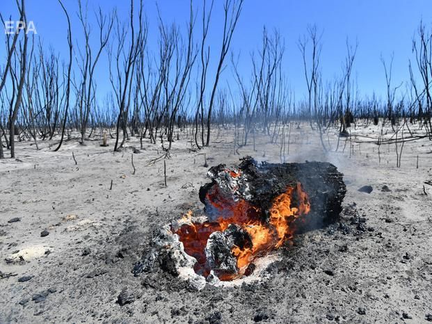 Дым от пожаров в Австралии достиг Южной Америки