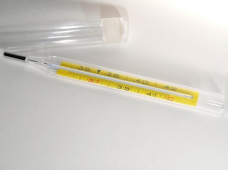 В Украине от осложнений гриппа умерла женщина