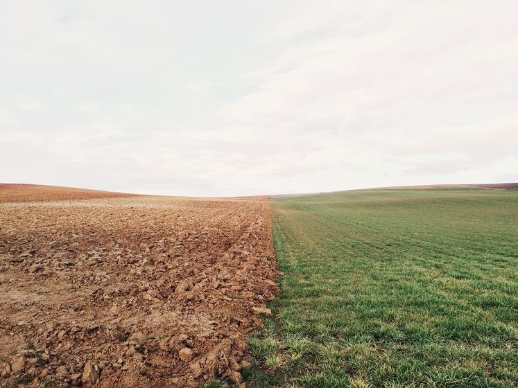 ﻿Майже кожен 10-й гектар сільськогосподарських земель в Україні "у тіні" – дослідження