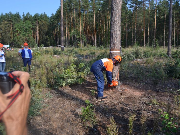 Проект "Лес в смартфоне" охватил 16 областей Украины – Гослесагентство