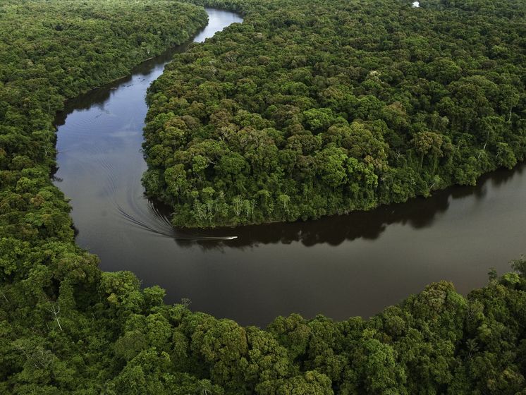 ﻿Жінка і троє її дітей загубилися у джунглях Амазонки, їх знайшли живими за 34 дні