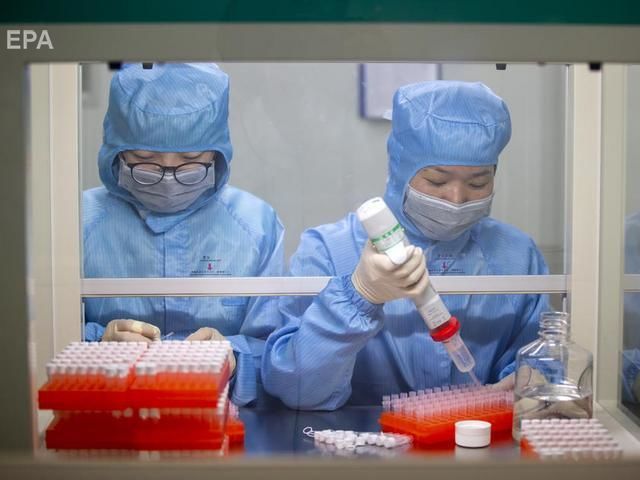 ﻿Учені з Австралії першими за межами Китаю відтворили новий коронавірус