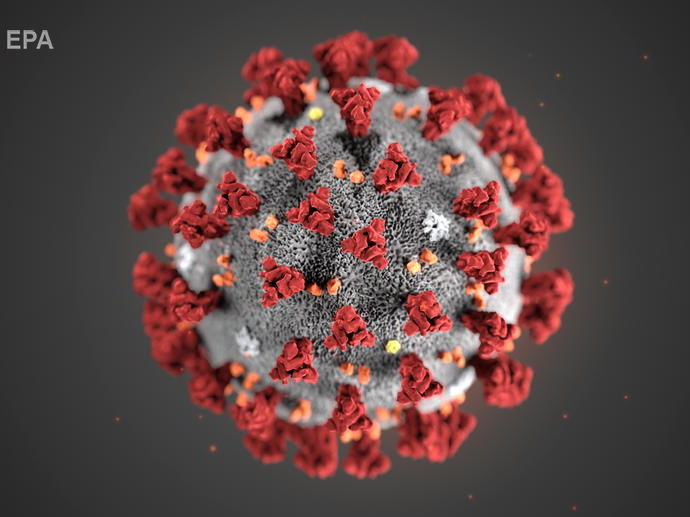 ﻿Вакцину проти коронавірусу 2019-nCoV створили за три години після публікації його генома