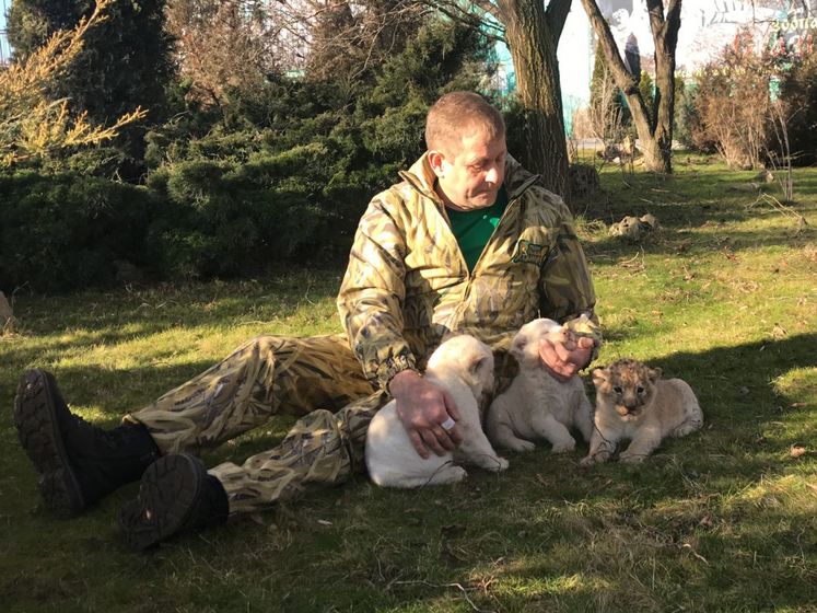Из-за укушенной львом туристки "суд" в Крыму арестовал владельца сафари-парка Зубкова