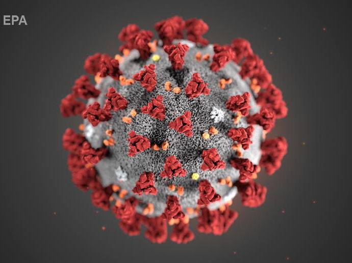 ВОЗ объявила борьбу с дезинформацией о китайском коронавирусе