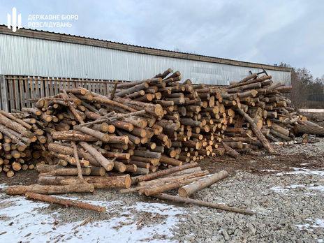 Госбюро расследований проводит обыски в Гослесагентстве и лесхозе в Житомирской области