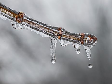 Теплая зима является последствием глобального потепления, сказала Краковская