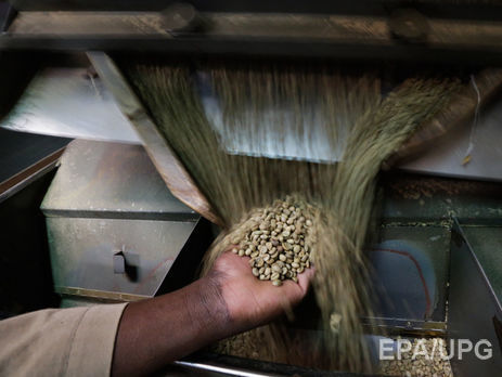 Австралийские ученые: Кофе исчезнет на Земле к 2080 году