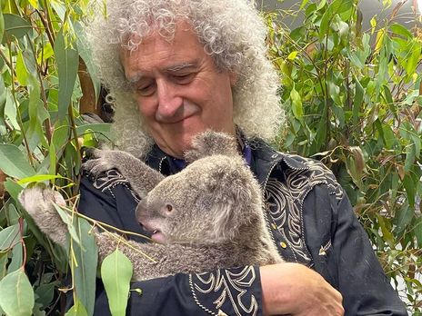 Гитарист Queen Брайан Мэй сыграл соло для флегматичной коалы