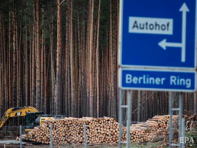 Суд разрешил Tesla продолжить вырубку леса под Берлином для строительства Gigafactory