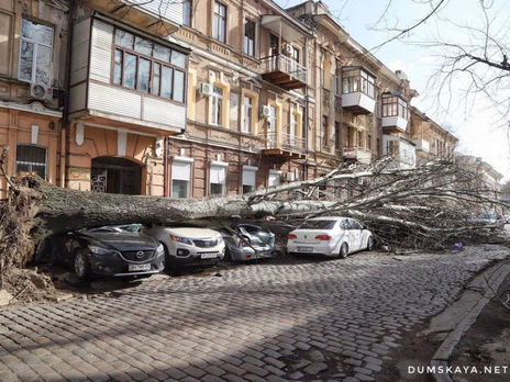 ﻿Негода в Україні. Одна людина загинула внаслідок падіння дерева, чотирьох травмовано
