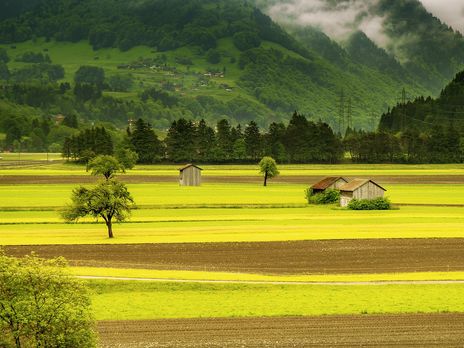 Запуск рынка земли поддерживают 15% украинцев – исследование