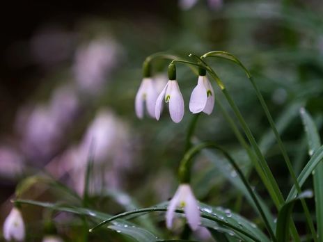 В Украине 2 марта ожидаются дожди и штормовой ветер