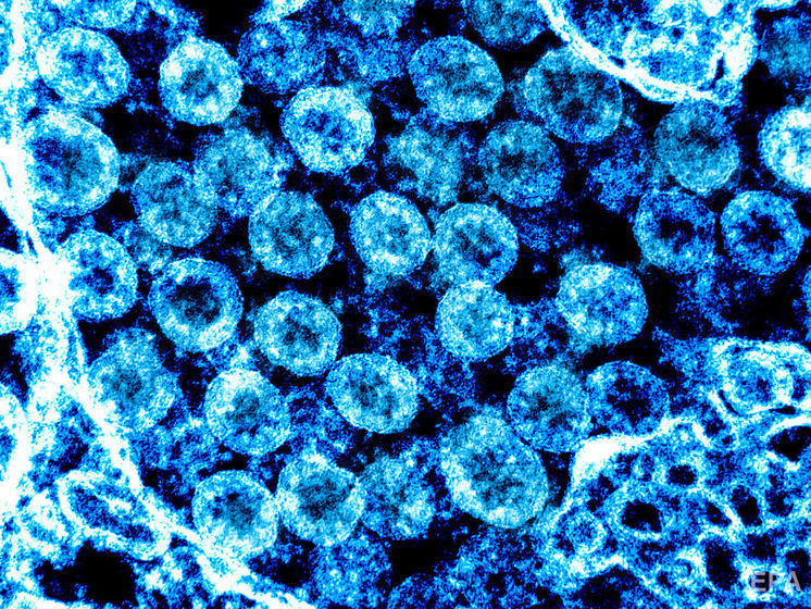 ﻿В Андоррі підтвердили перший випадок коронавірусної інфекції