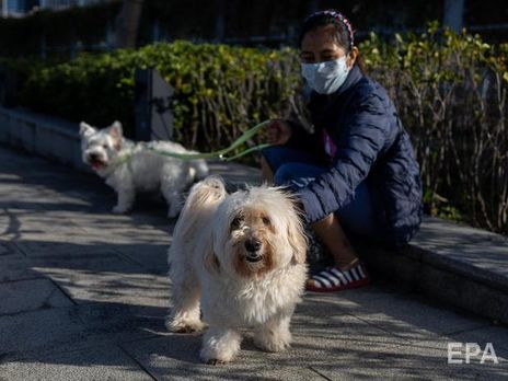 Держспоживслужба заборонила ввозити в Україну тварин із Китаю