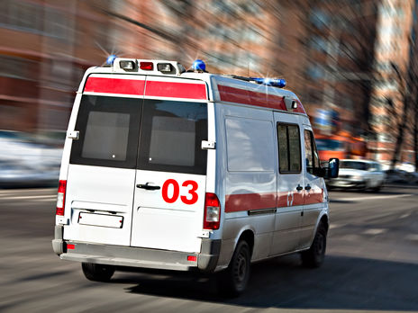 ﻿У Запоріжжі на дівчинку впала дерев'яна скульптура ведмедя, дитина загинула