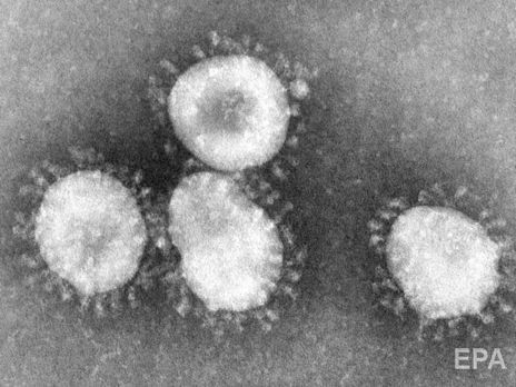 Коронавирус SARS-CoV-2 не может быть биологическим оружием - исследование