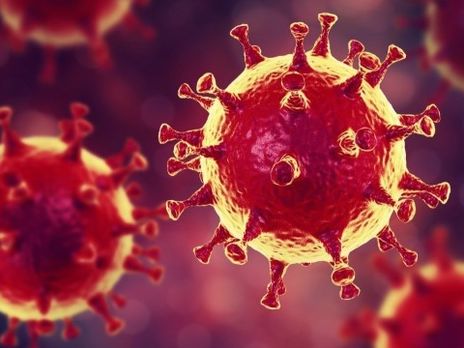 Украинские ученые разработали первую партию экспресс-тестов на коронавирус - Зеленский