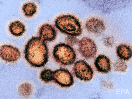 Что происходит, когда человек заражается коронавирусом. Видео