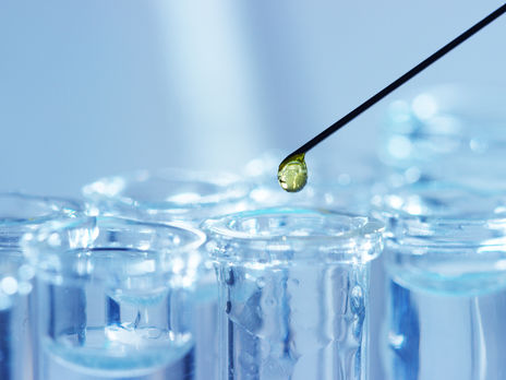 В Киеве количество инфицированных коронавирусом увеличилось до 31